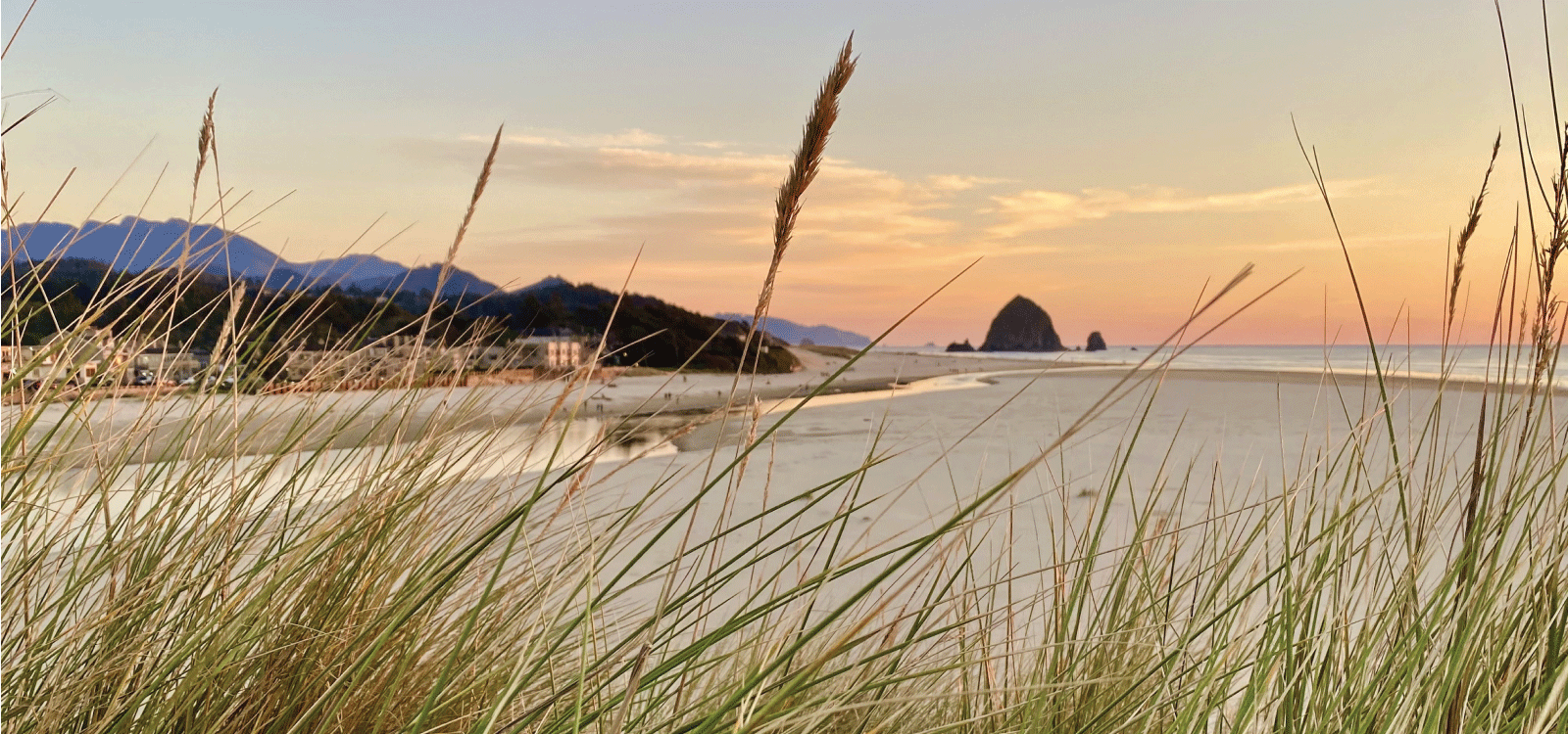 Image for Hero Banner